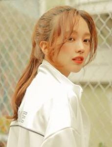 韓国ファッション通販　ウィッグ