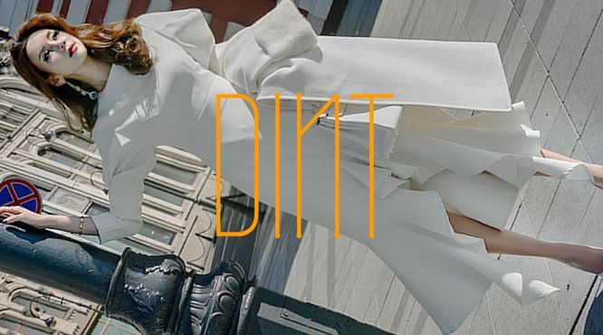 韓国ファッションブランド　DINT