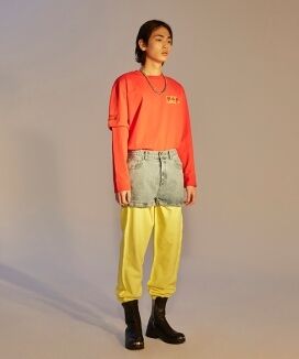 アノミコンプレックス