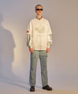 アノミコンプレックス